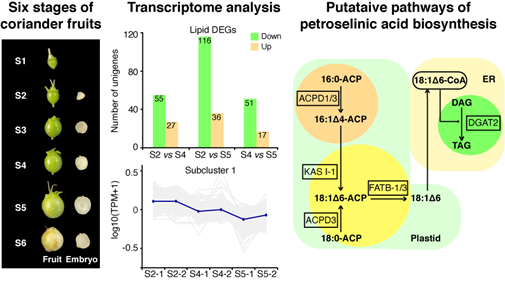 ab70c9294769478ebffbed8aed82c683.png image.png