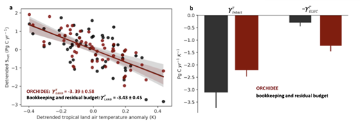 图3 ORCHDEE模型模拟的陆地碳汇对热带气温的敏感性（γ值）与观测相吻合（a），但是土地利用效应的γ值比以往估算要高，而原生生态系统的γ值比以往估算更低（b）。.png
