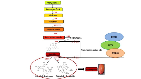 c0805f8b556e46d781b2009d2c18658d.jpg 22222.jpg