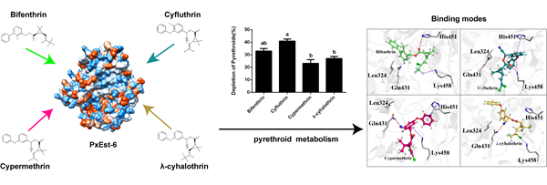 ba8c7442278c4abcba62dbe3d6189cbe.png 配图-原图_副本.png