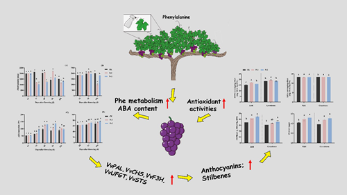 7829657a8f2e418a9b1d524785a374e9.png 图片1_副本.png