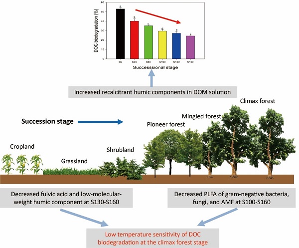 beadb11c5c8a43aaaa8b050d4ca6c43a.jpg 1.jpg