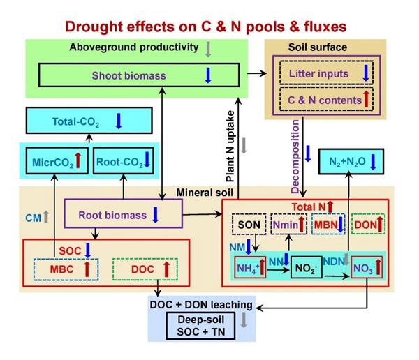 6ec927e19f004ba58eaf15268d53bdcb.jpg 重点室进展图片_副本.jpg