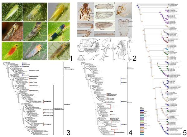 81ffc9fad01d4207983a250fd98d59f3.jpg 1.jpg