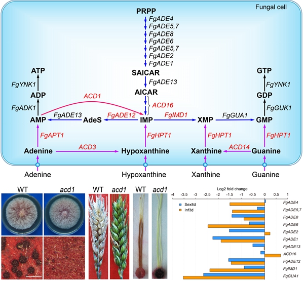 6e93f8e7875e491086fb6a7935138172.jpg 图片_副本.jpg