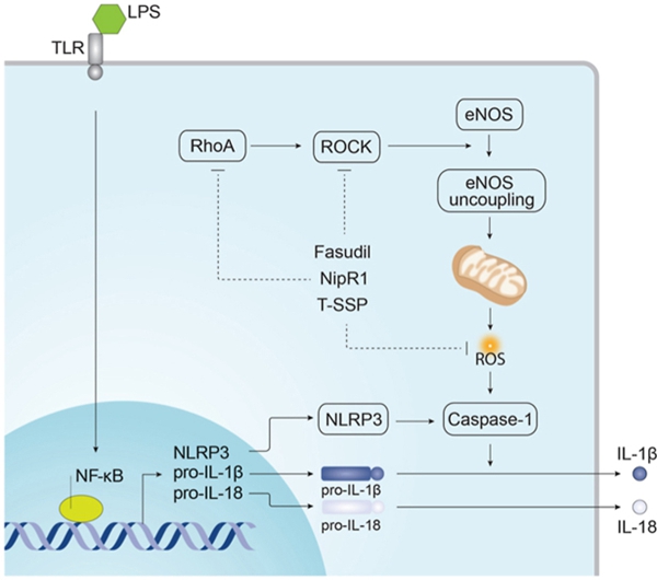 66867a3533314cc7a4b8c5fdba57f544.jpg 动医学院_副本.jpg