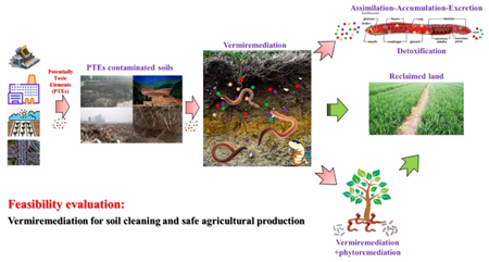 利用蚯蚓修复重金属污染土壤图片.png